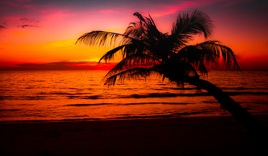 Jamaican Sunset