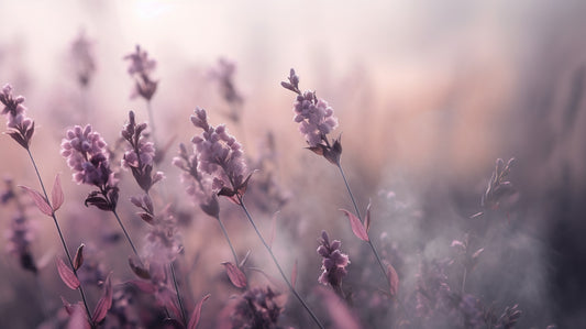 Smoky Lavender